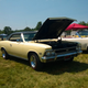 Illustration for article titled Pictures From a Local Car Show